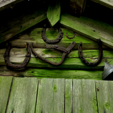 where iron goes to die