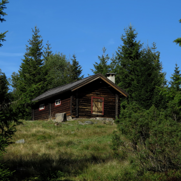Ståvi
