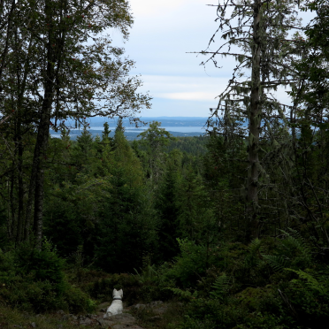 the fjord