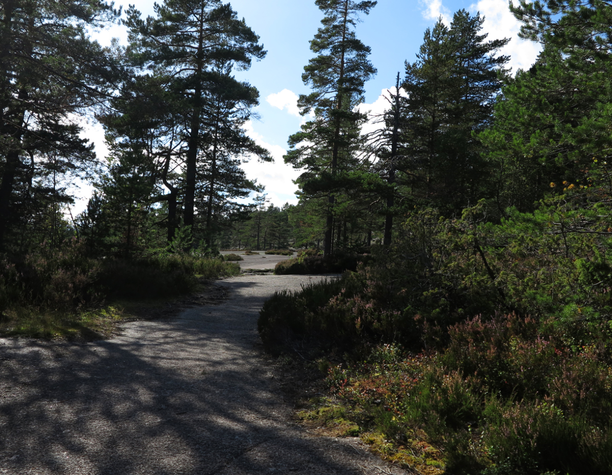 Blåfjell