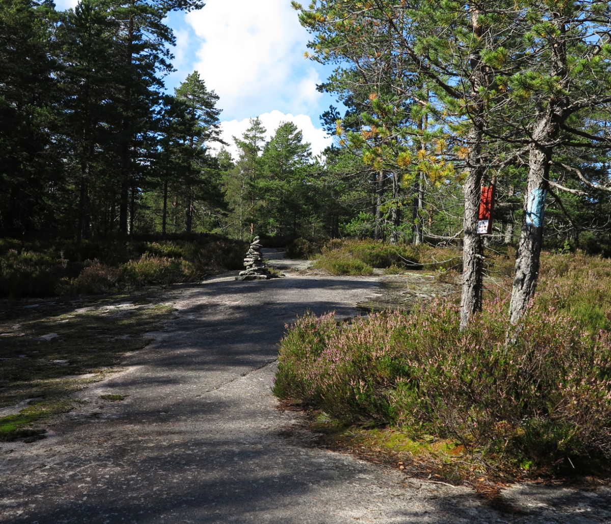 three navigational markers