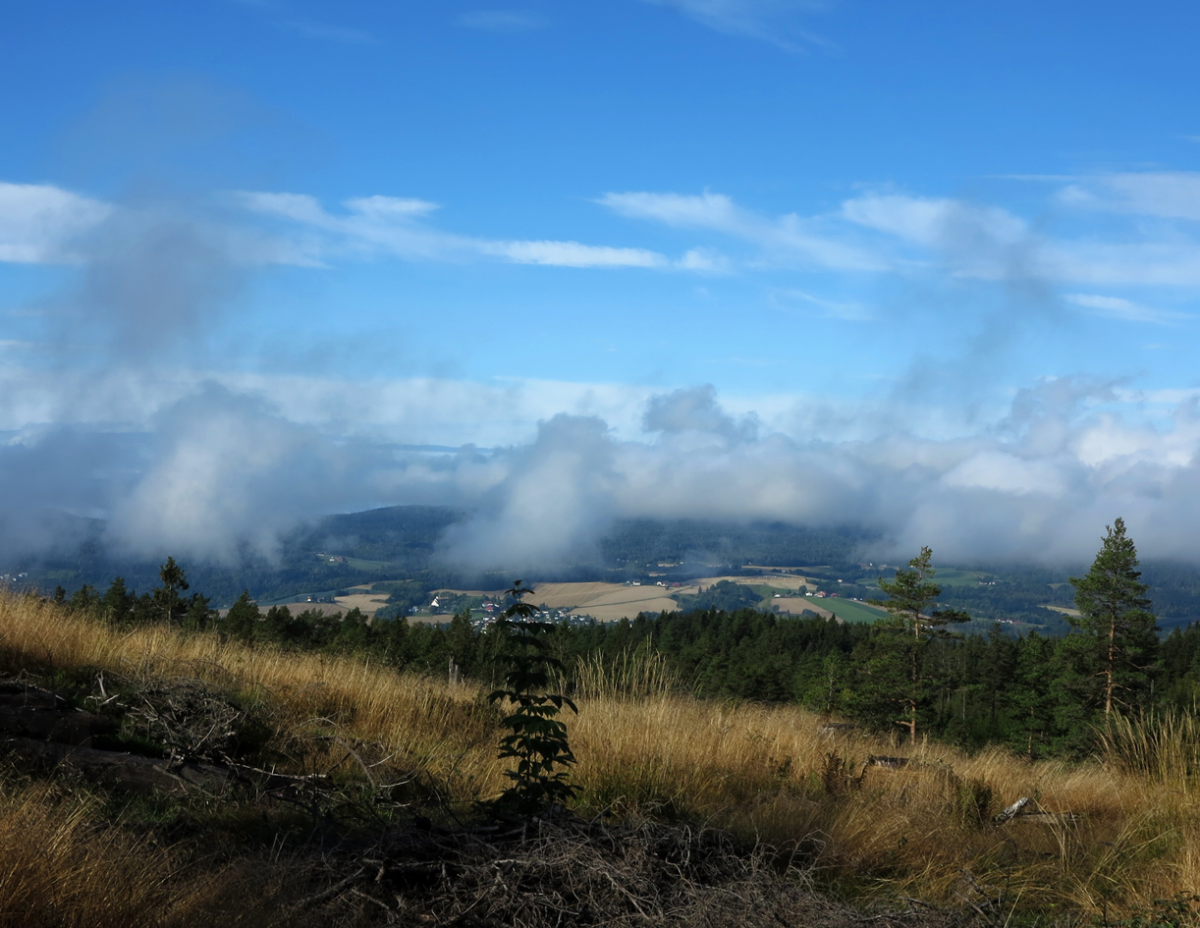 burning off the fog