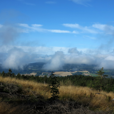 burning off the fog
