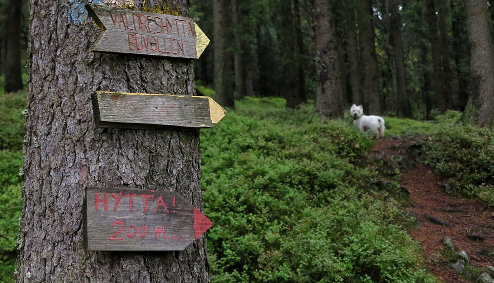 westie wayfinding