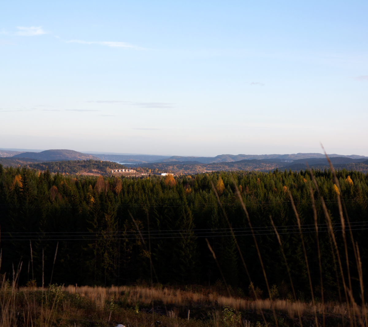 view