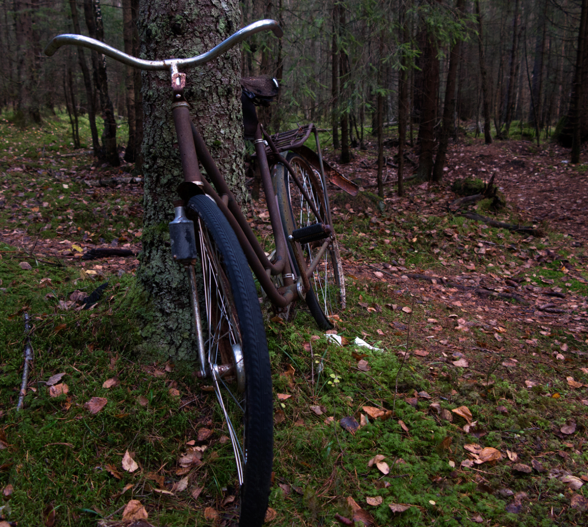 bike!