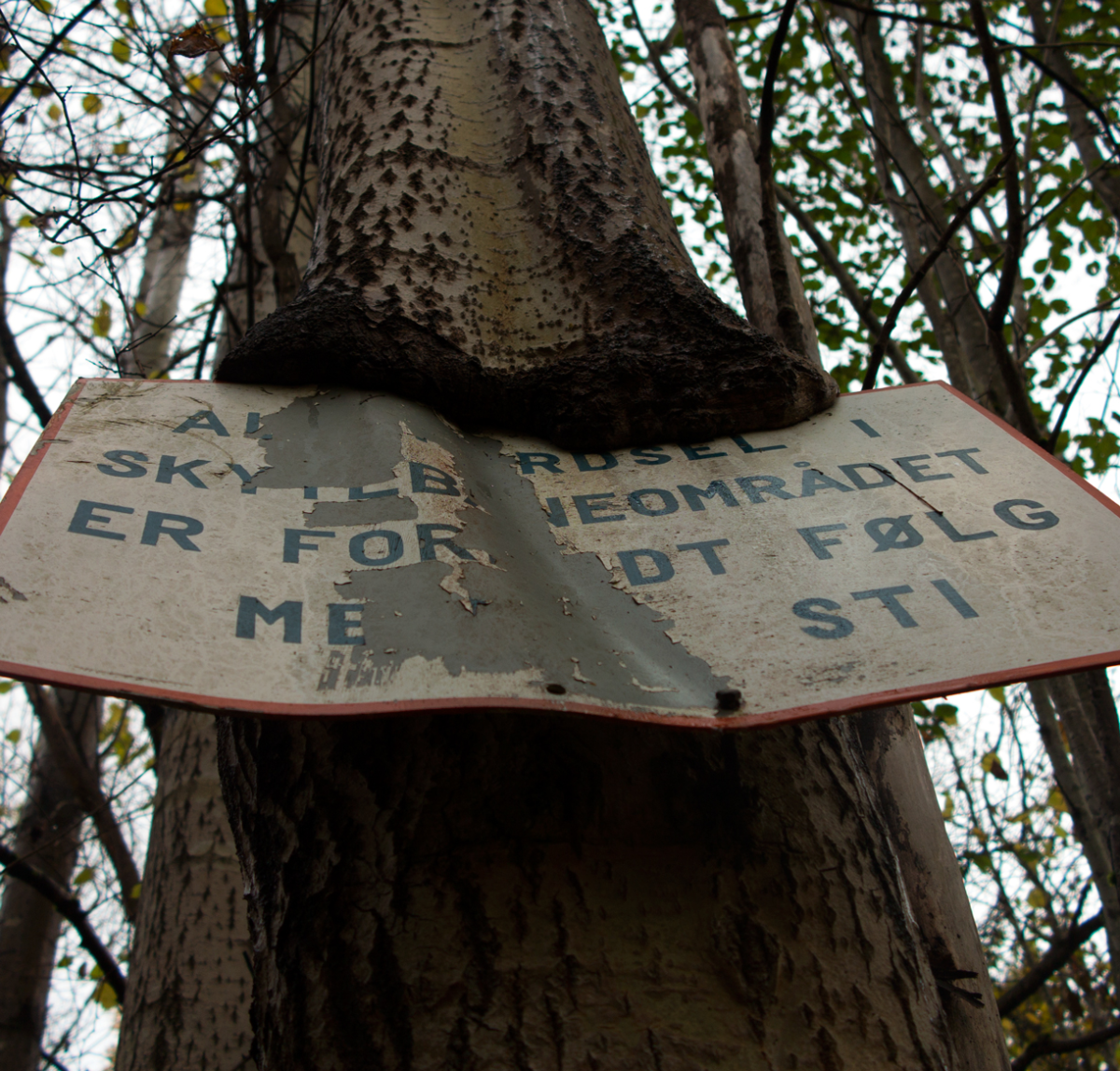 sign 