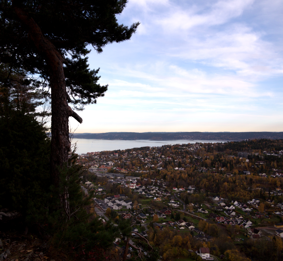 Bøsnipa