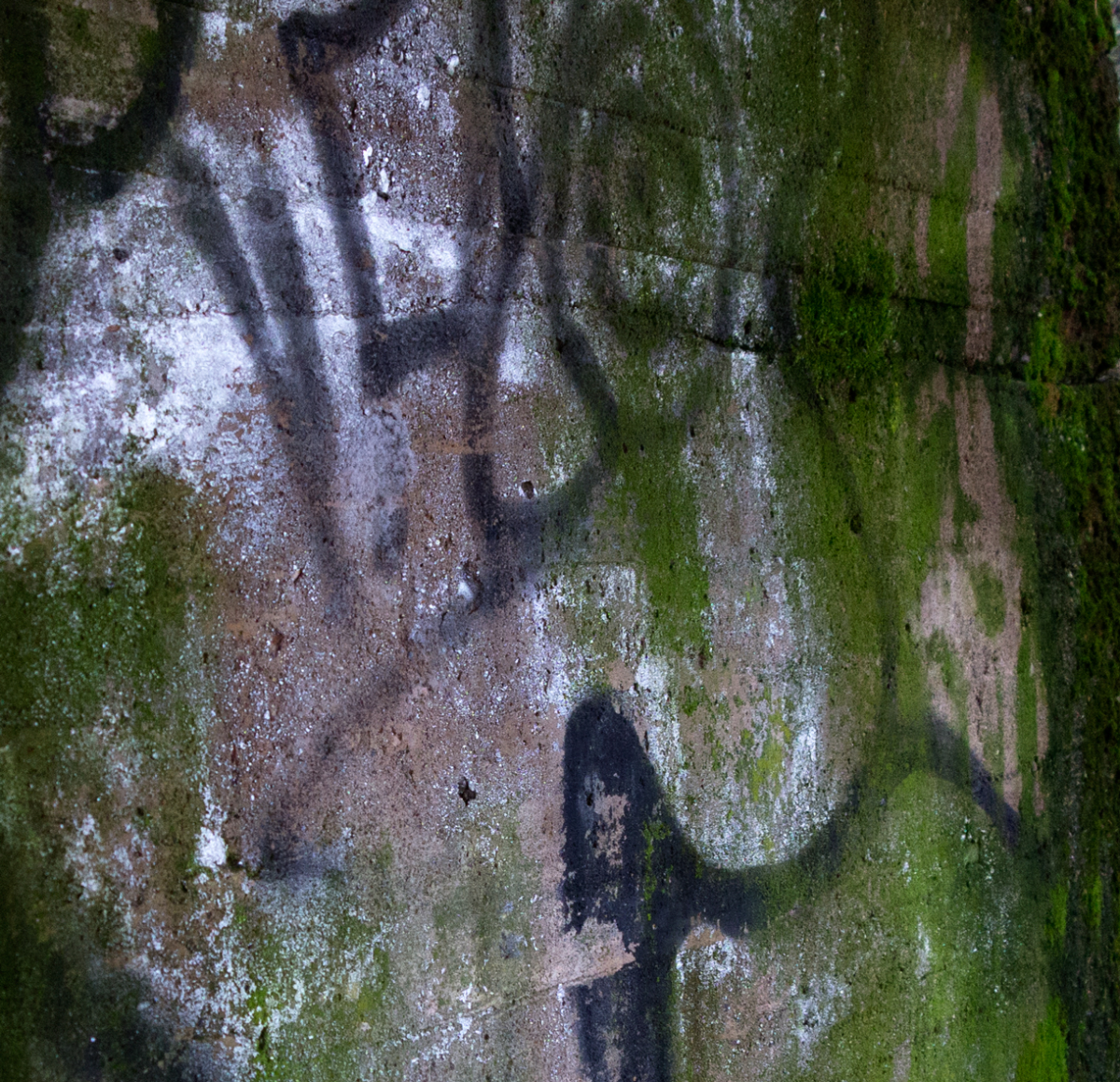 grafitti