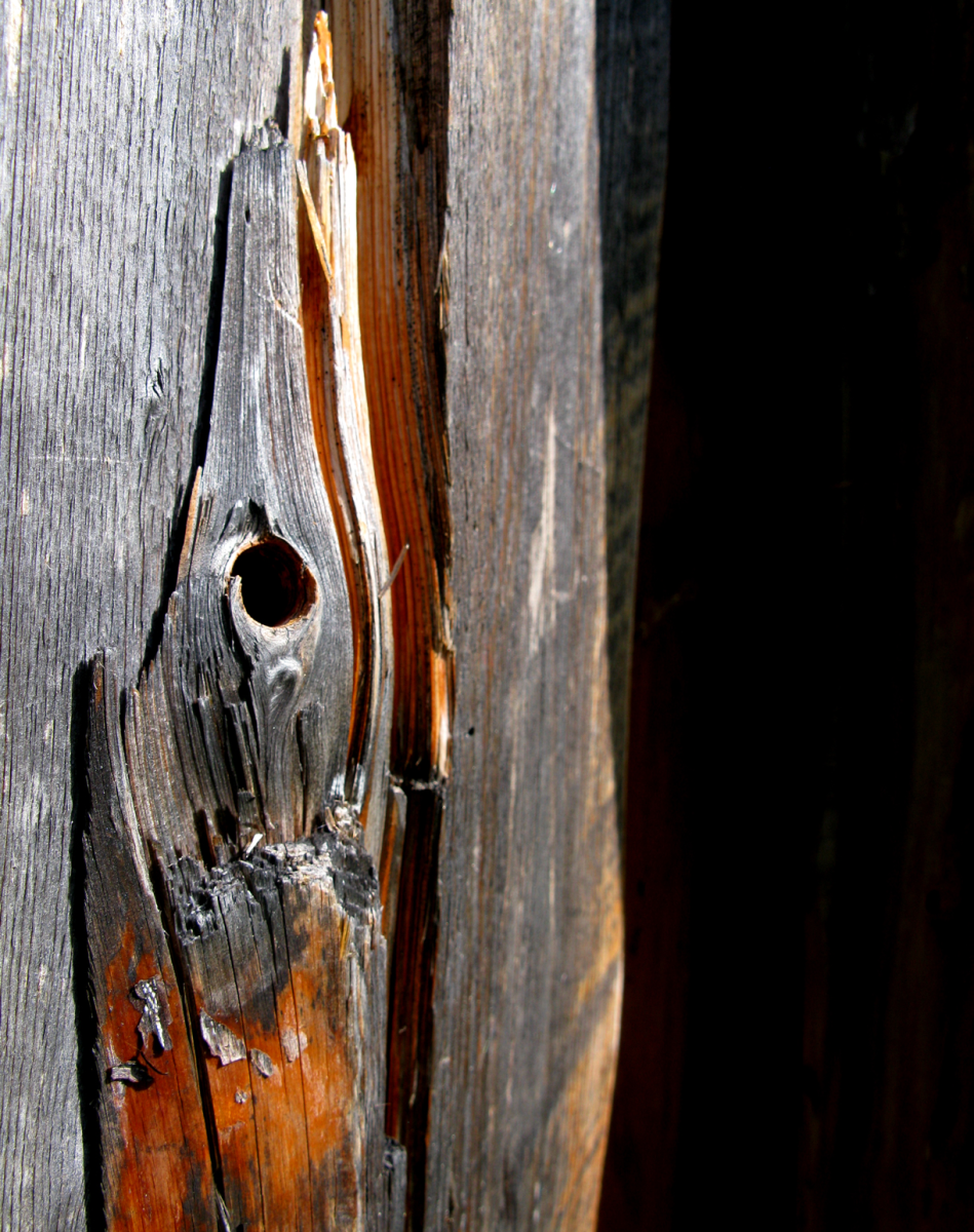 wood