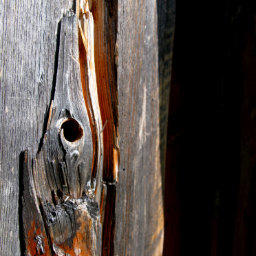 wood