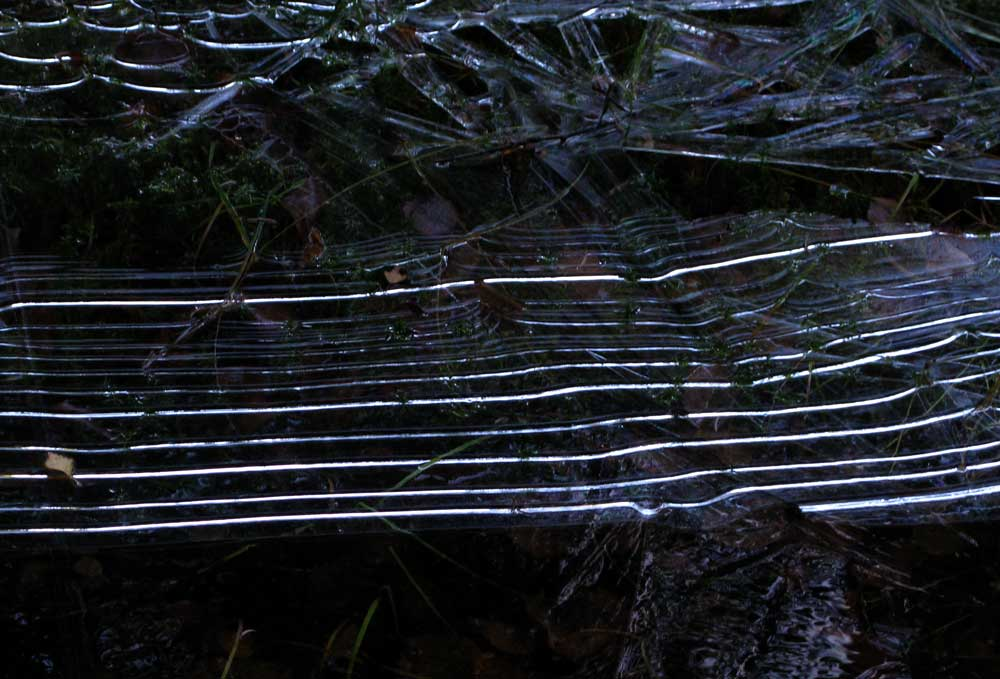 ice