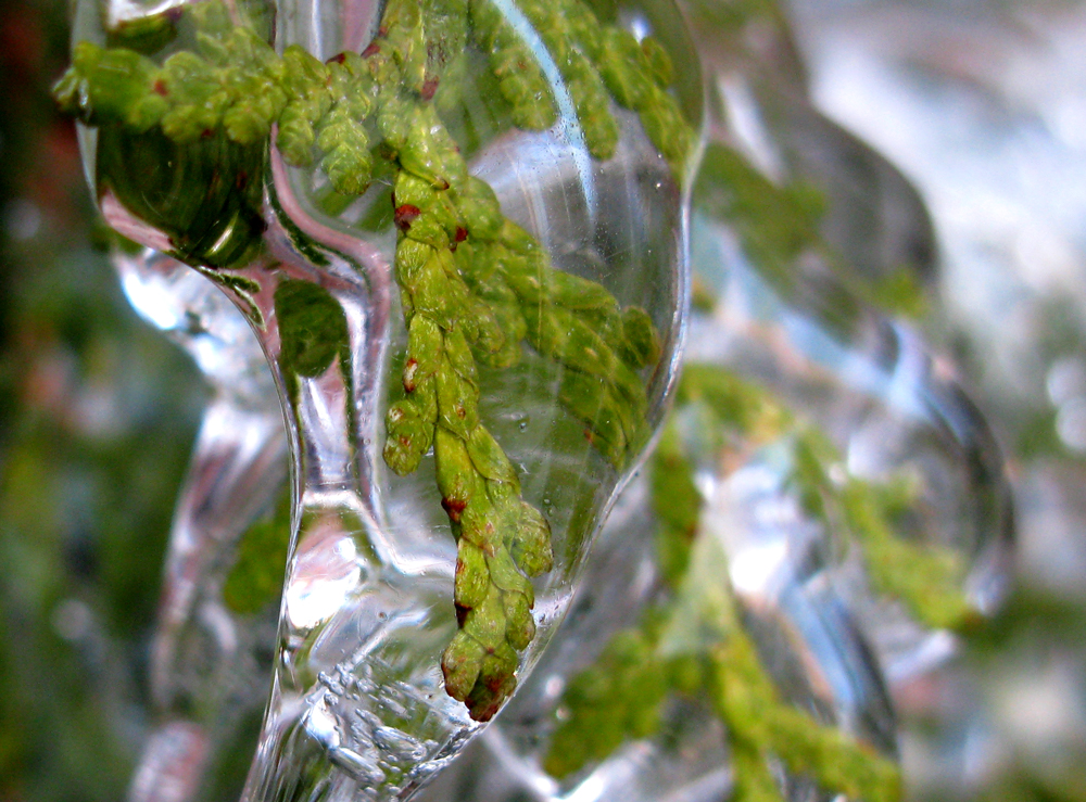 ice