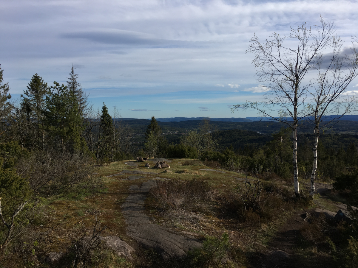 bergsåstoppen