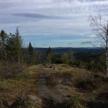 bergsåstoppen