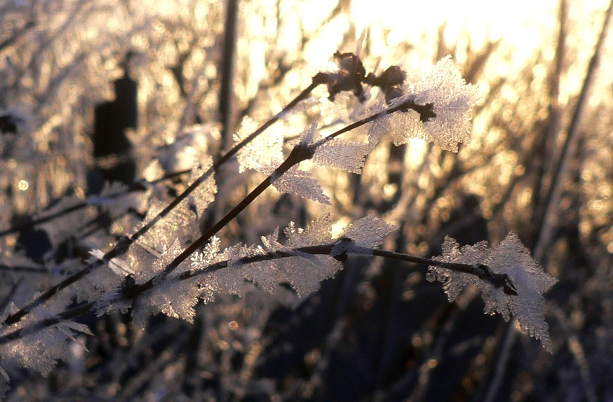 march