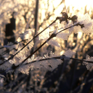 march
