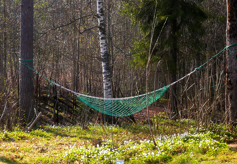 spring
