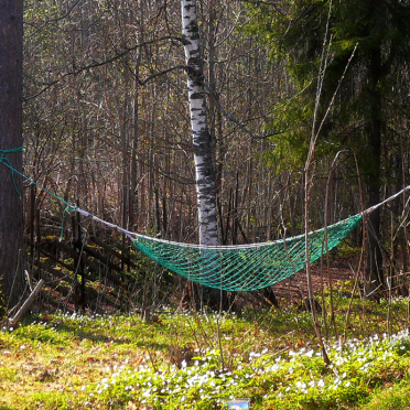 spring