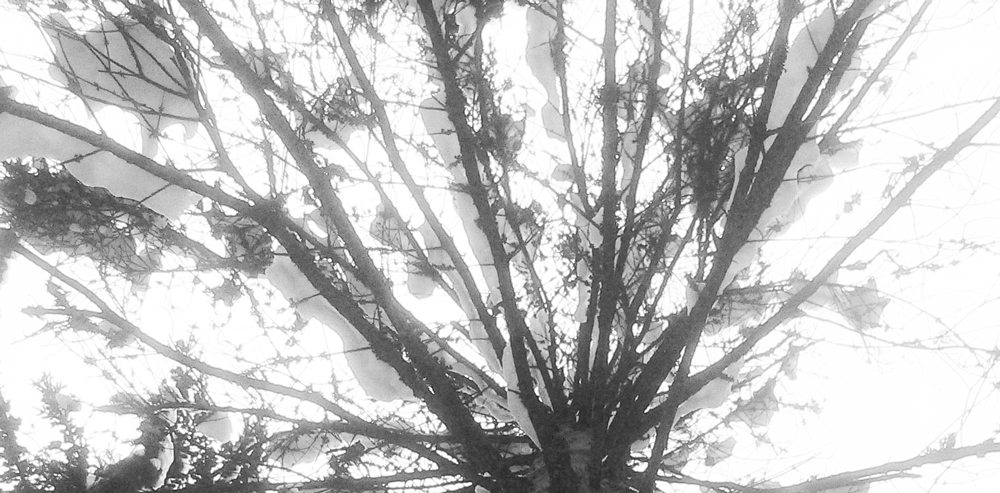 P1070484aW