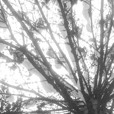 P1070484aW