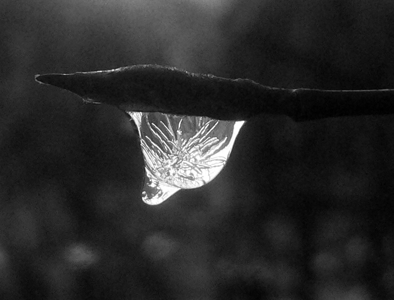 drop