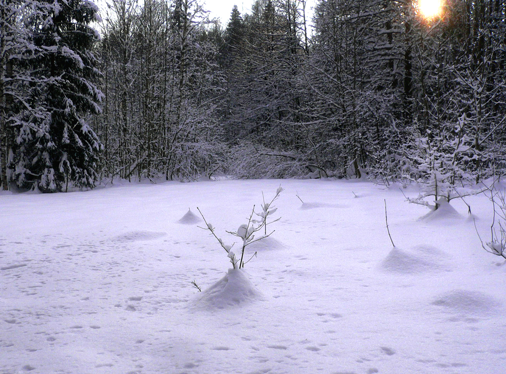 winter