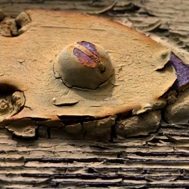 materiality