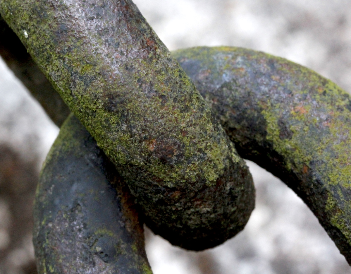 links
