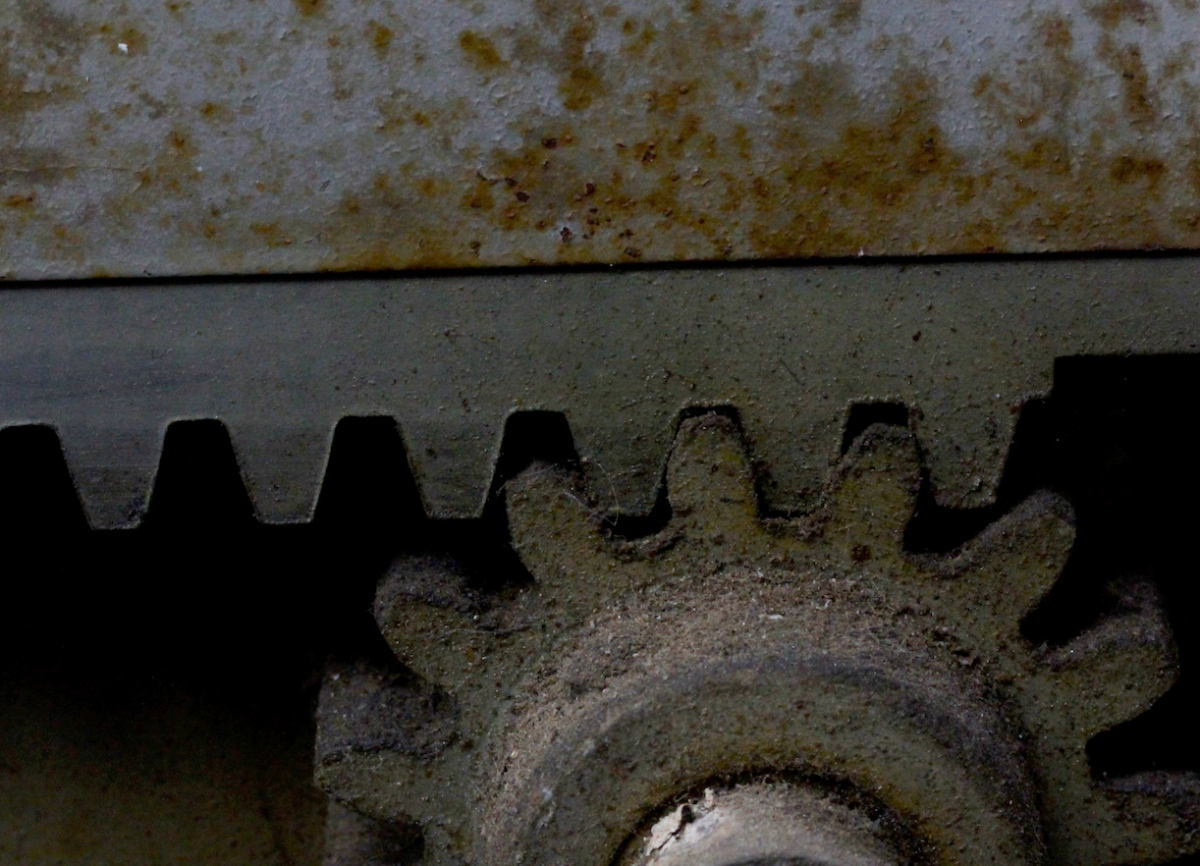 tooth