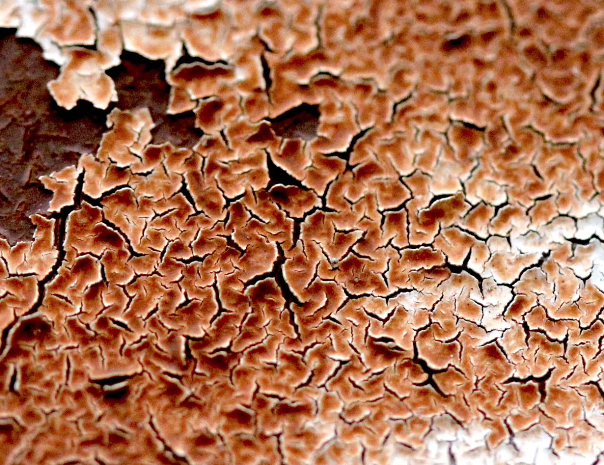 craquelure