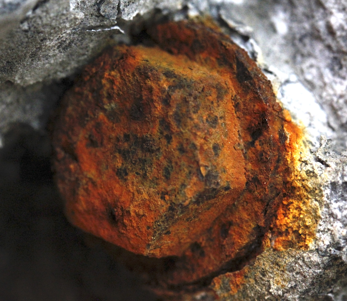 bolted