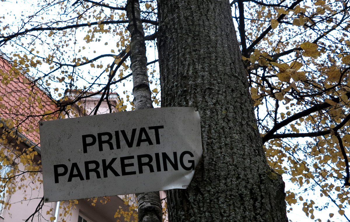 tree and sign