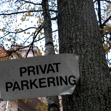 tree and sign