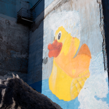 duckling