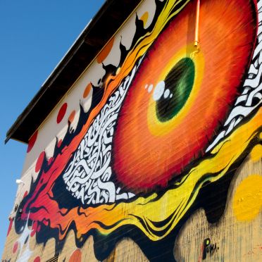 eye