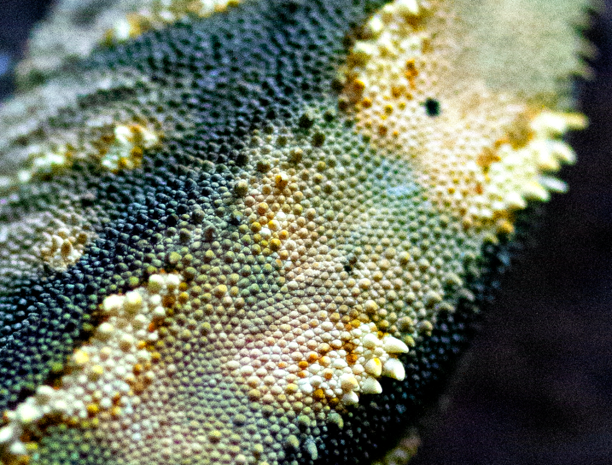 texture