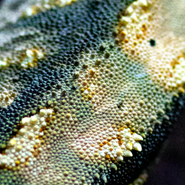 texture