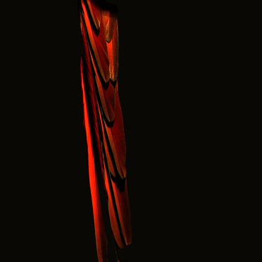 macaw tailfeathers