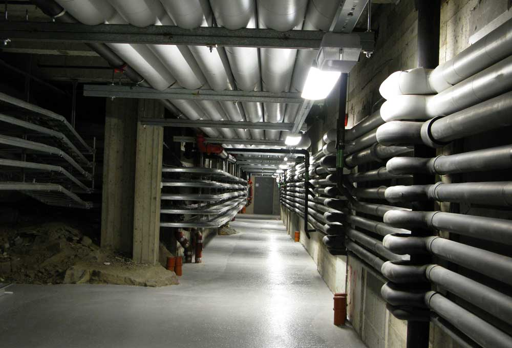 the dungeon