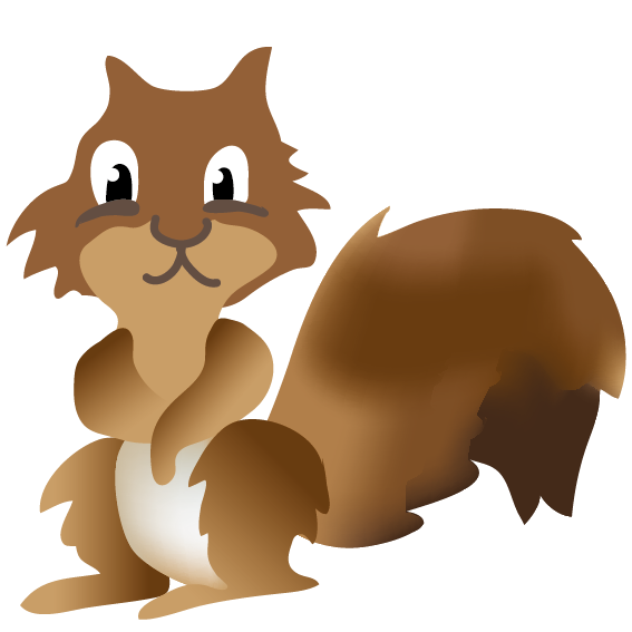 squirrel