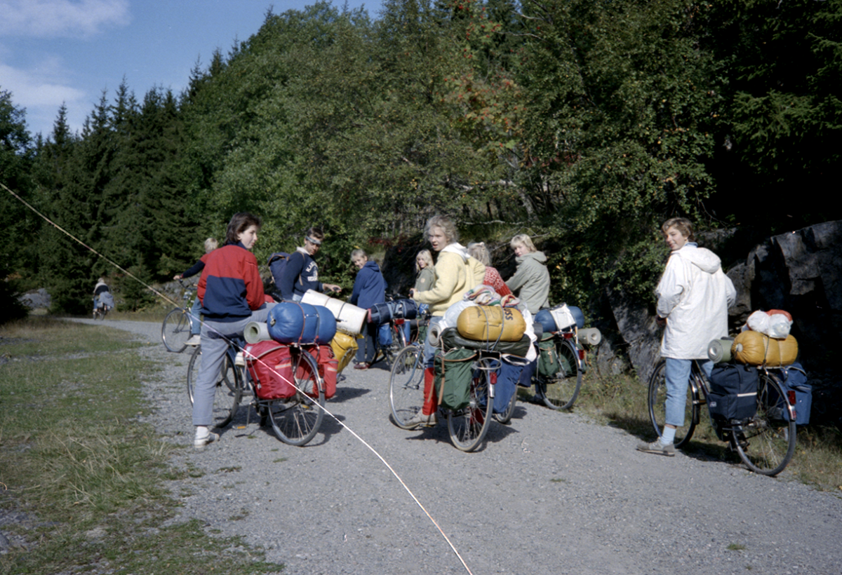 sykleri