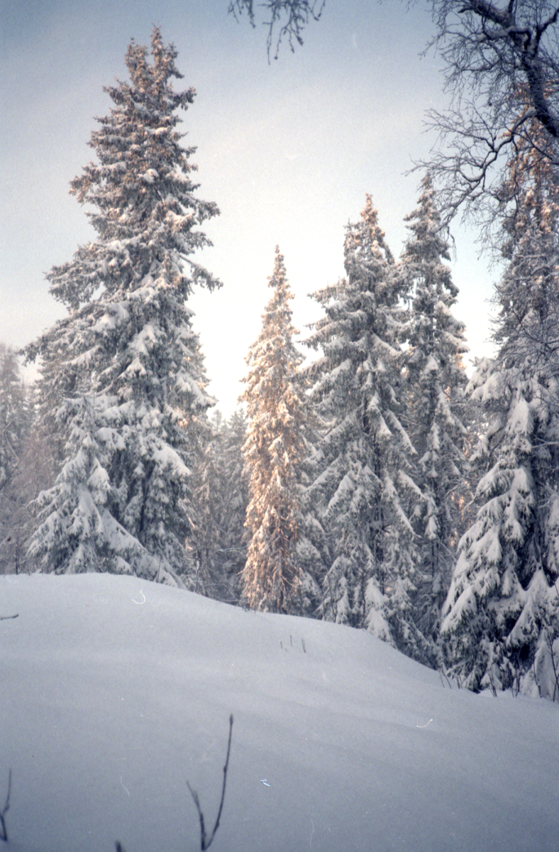 cold