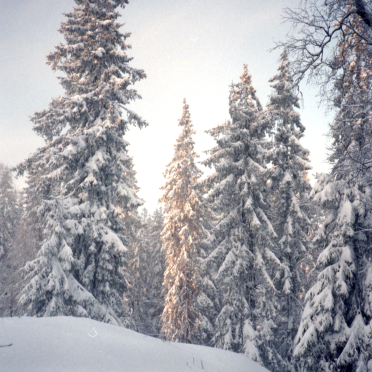 cold