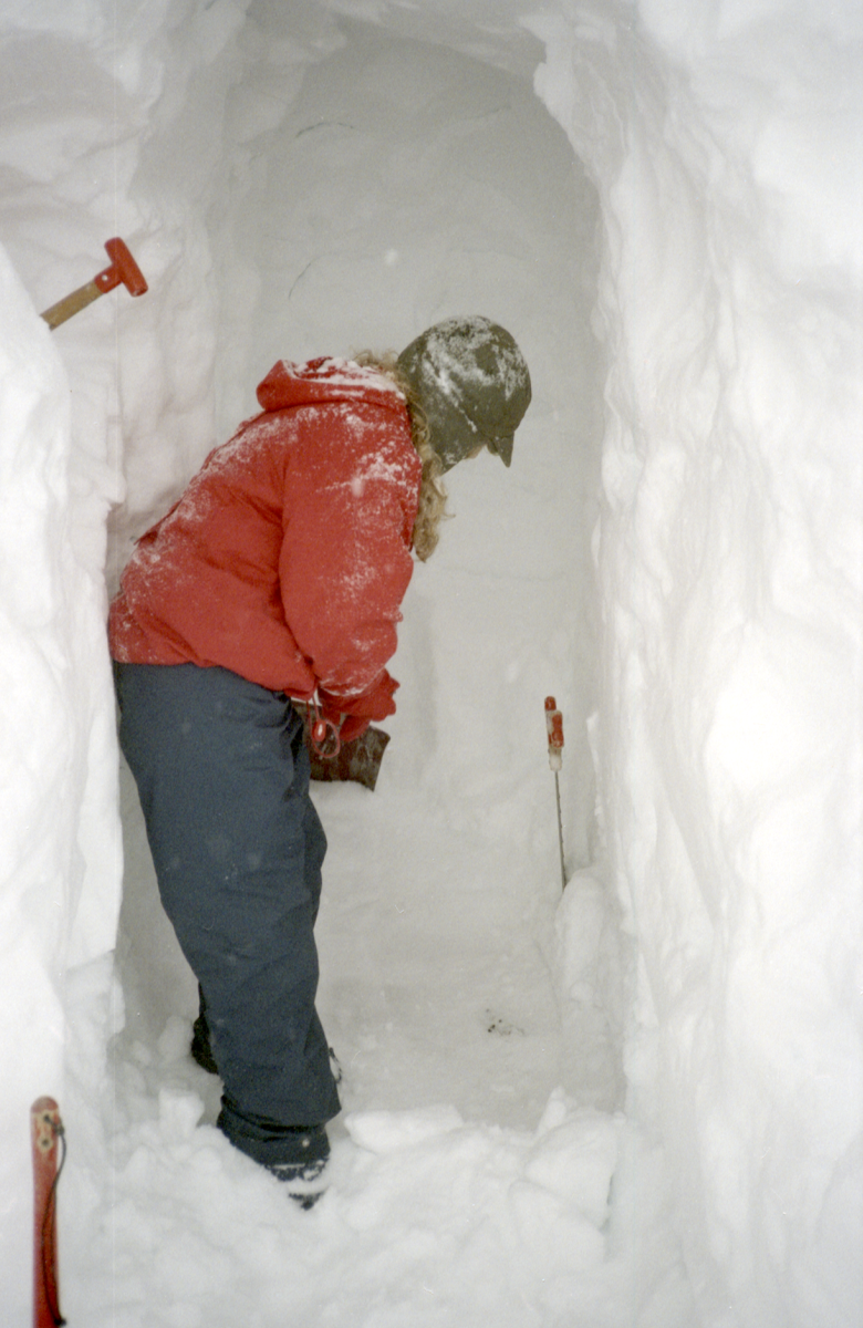 kari digging