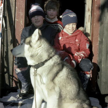 ulvunger