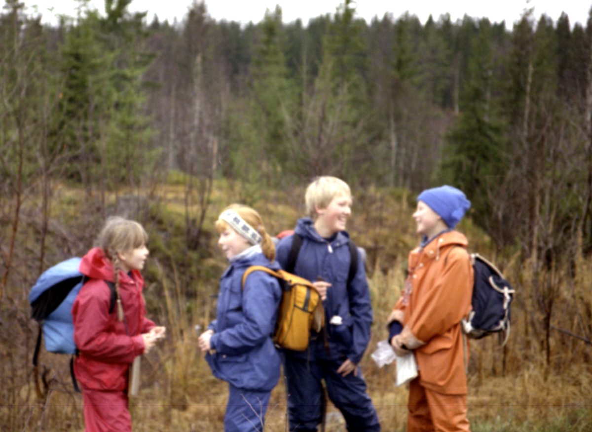 ulvunger