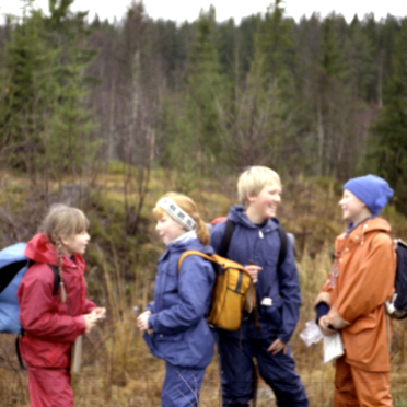ulvunger