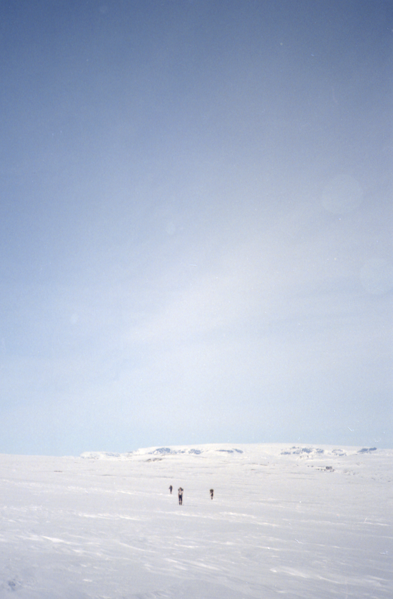 high skies