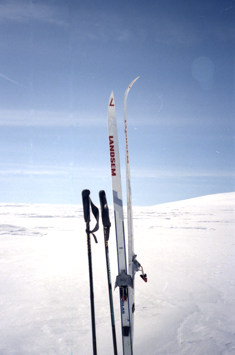 hardangervidda